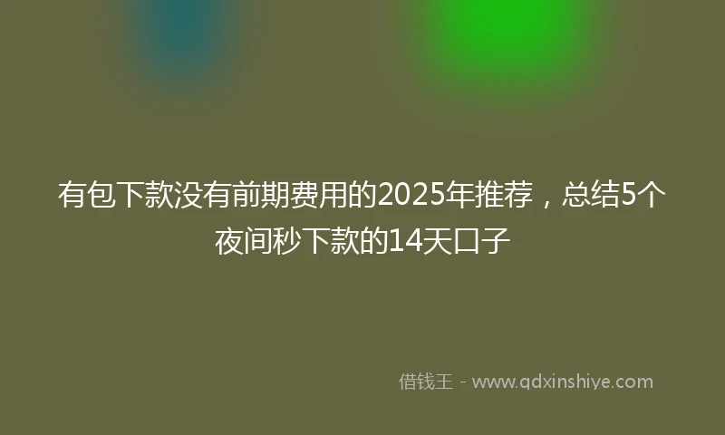 有包下款没有前期费用的2025年推荐，总结5个夜间秒下款的14天口子