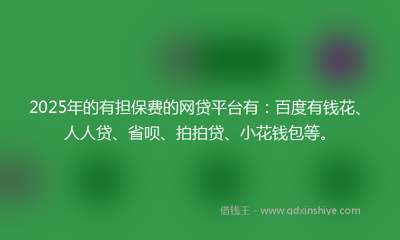 2025年的有担保费的网贷平台有：百度有钱花、人人贷、省呗、拍拍贷、小花钱包等。