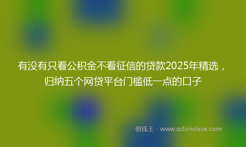 有没有只看公积金不看征信的贷款2025年精选，归纳五个网贷平台门槛低一点的口子