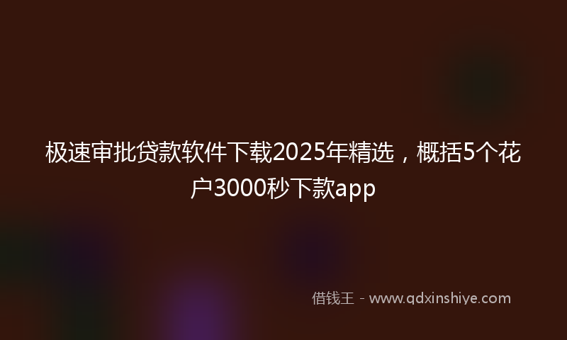 极速审批贷款软件下载2025年精选，概括5个花户3000秒下款app