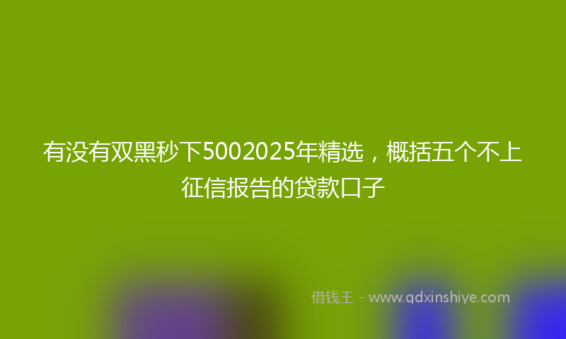 有没有双黑秒下5002025年精选，概括五个不上征信报告的贷款口子