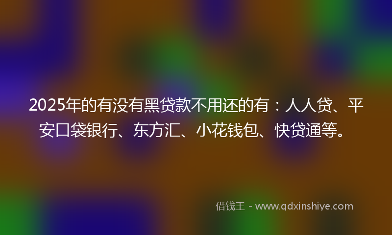 2025年的有没有黑贷款不用还的有：人人贷、平安口袋银行、东方汇、小花钱包、快贷通等。