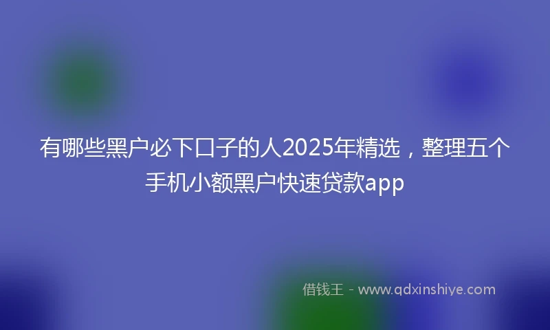 有哪些黑户必下口子的人2025年精选，整理五个手机小额黑户快速贷款app
