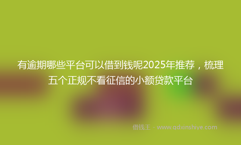 有逾期哪些平台可以借到钱呢2025年推荐，梳理五个正规不看征信的小额贷款平台