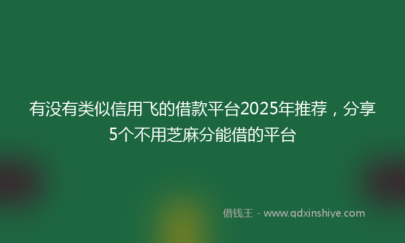 有没有类似信用飞的借款平台2025年推荐,分享5个不用芝麻分能借的平台