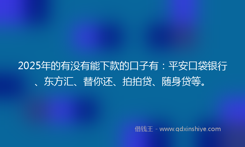 2025年的有没有能下款的口子有：平安口袋银行、东方汇、替你还、拍拍贷、随身贷等。