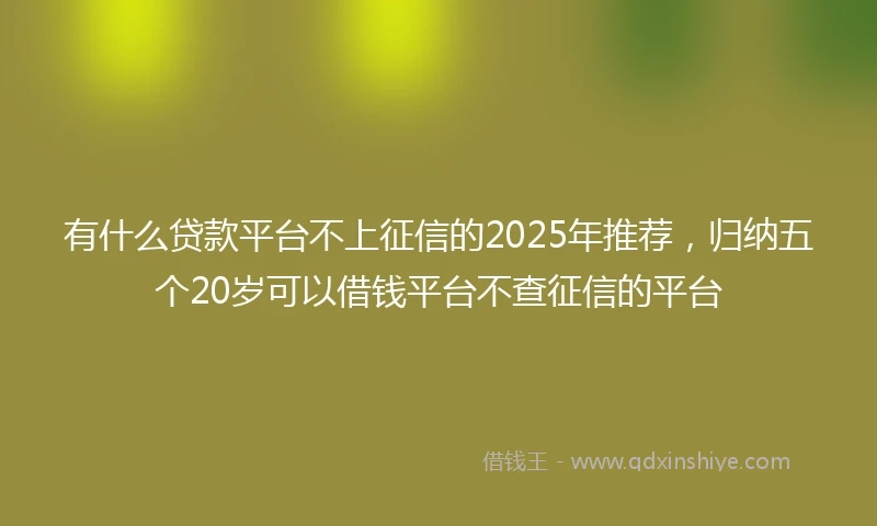 有什么贷款平台不上征信的2025年推荐，归纳五个20岁可以借钱平台不查征信的平台