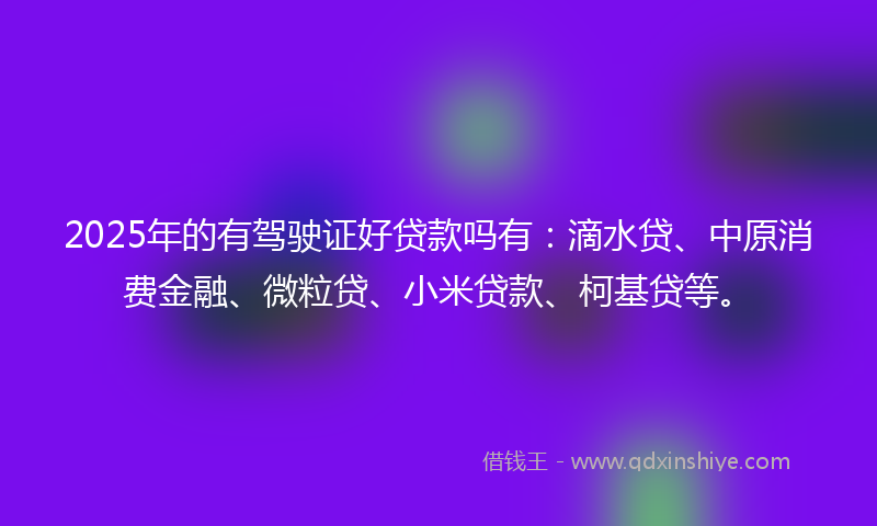 2025年的有驾驶证好贷款吗有：滴水贷、中原消费金融、微粒贷、小米贷款、柯基贷等。