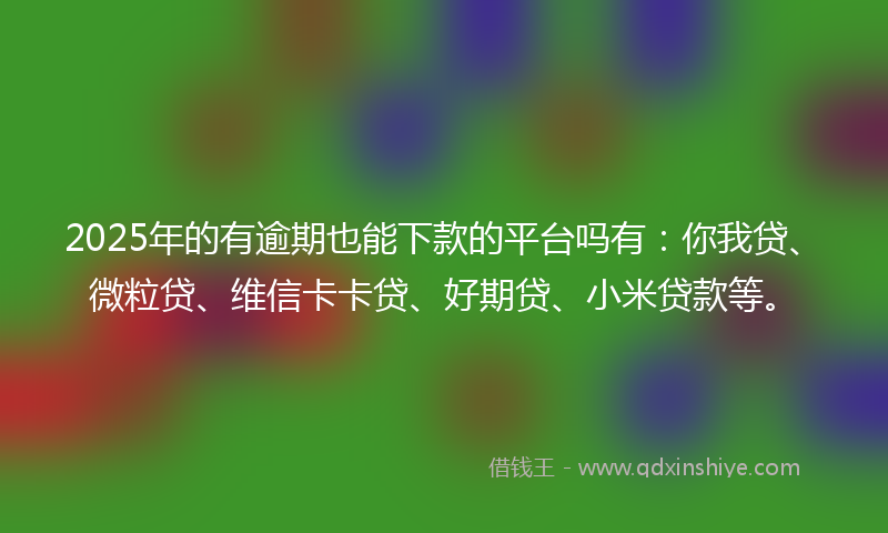 2025年的有逾期也能下款的平台吗有：你我贷、微粒贷、维信卡卡贷、好期贷、小米贷款等。
