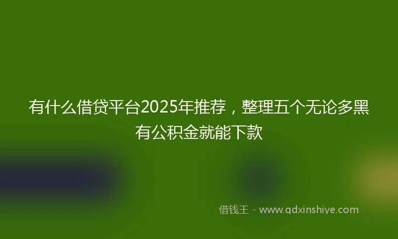 有什么借贷平台2025年推荐，整理五个无论多黑有公积金就能下款