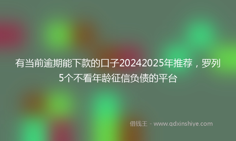 有当前逾期能下款的口子20242025年推荐，罗列5个不看年龄征信负债的平台