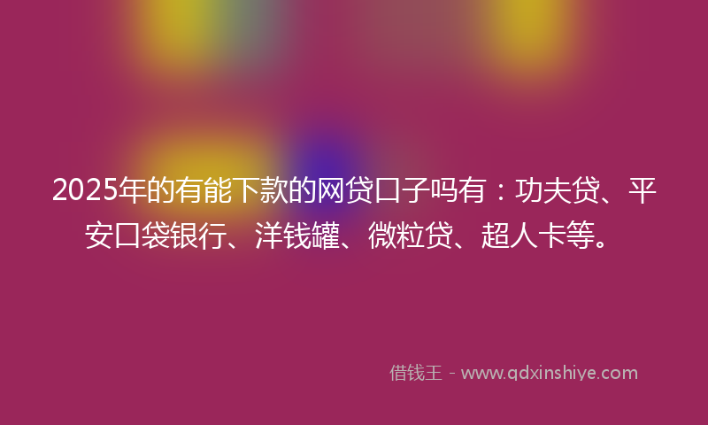 2025年的有能下款的网贷口子吗有：功夫贷、平安口袋银行、洋钱罐、微粒贷、超人卡等。