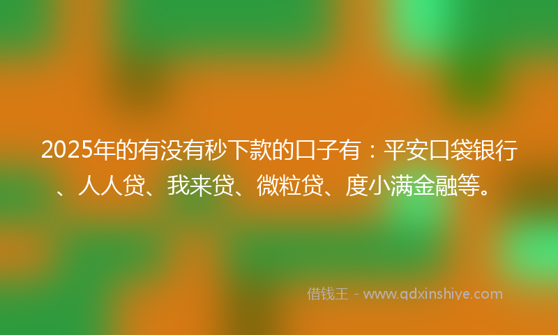 2025年的有没有秒下款的口子有：平安口袋银行、人人贷、我来贷、微粒贷、度小满金融等。