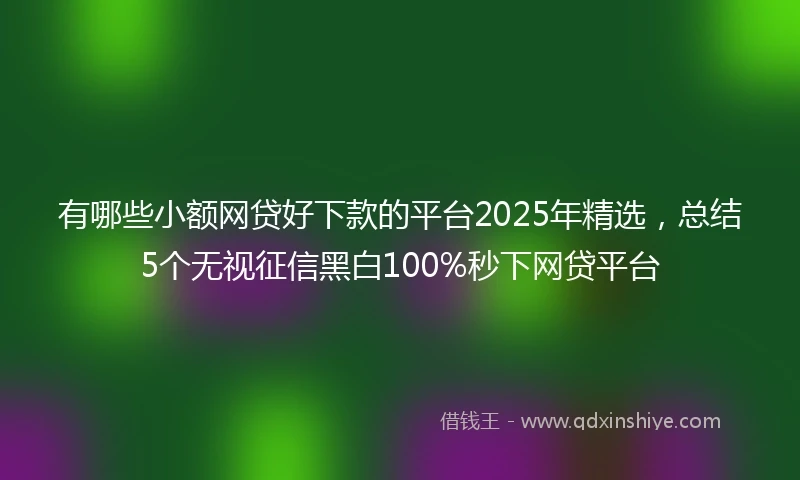 有哪些小额网贷好下款的平台2025年精选，总结5个无视征信黑白100%秒下网贷平台