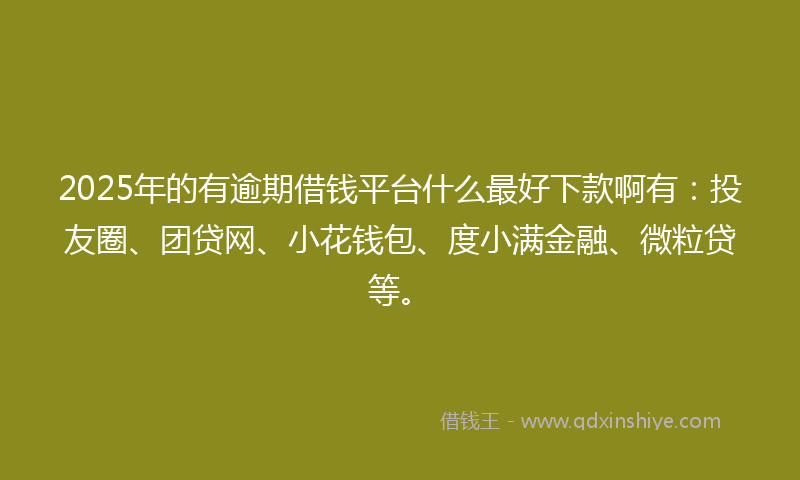 2025年的有逾期借钱平台什么最好下款啊有：投友圈、团贷网、小花钱包、度小满金融、微粒贷等。