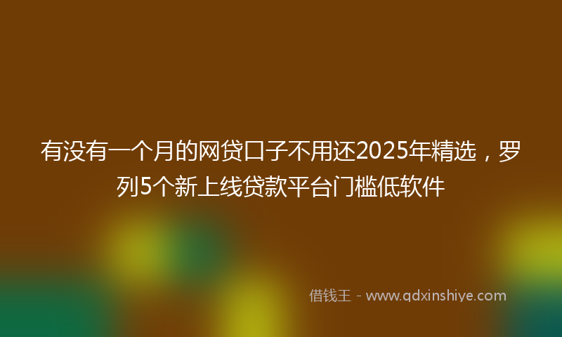 有没有一个月的网贷口子不用还2025年精选，罗列5个新上线贷款平台门槛低软件