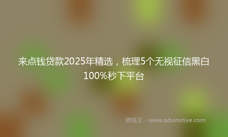 来点钱贷款2025年精选，梳理5个无视征信黑白100%秒下平台