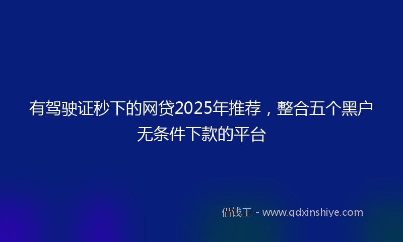 有驾驶证秒下的网贷2025年推荐，整合五个黑户无条件下款的平台