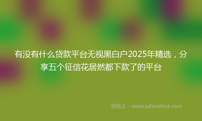 有没有什么贷款平台无视黑白户2025年精选，分享五个征信花居然都下款了的平台