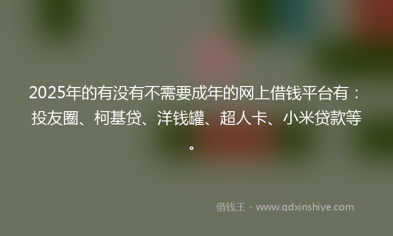 2025年的有没有不需要成年的网上借钱平台有：投友圈、柯基贷、洋钱罐、超人卡、小米贷款等。
