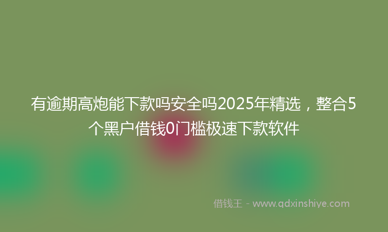 有逾期高炮能下款吗安全吗2025年精选，整合5个黑户借钱0门槛极速下款软件