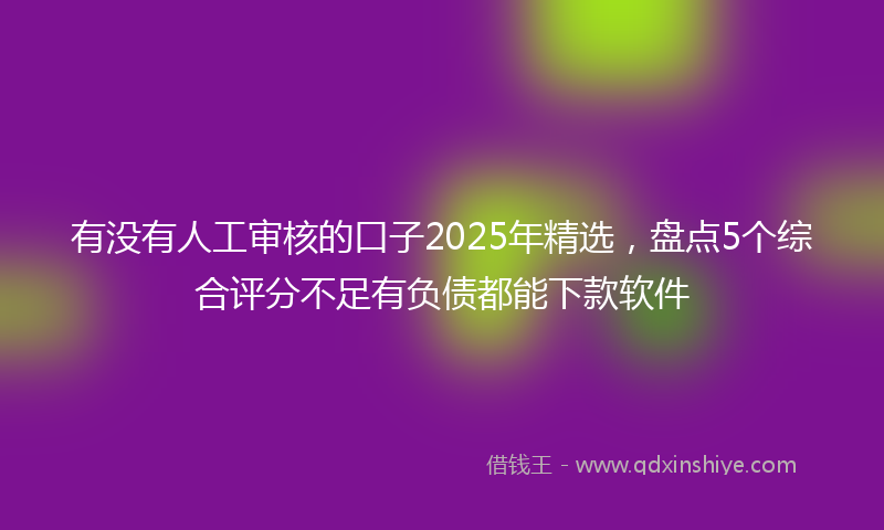 有没有人工审核的口子2025年精选，盘点5个综合评分不足有负债都能下款软件