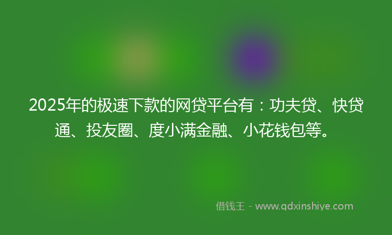 2025年的极速下款的网贷平台有：功夫贷、快贷通、投友圈、度小满金融、小花钱包等。
