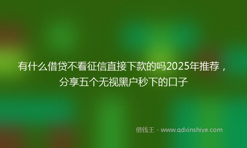 有什么借贷不看征信直接下款的吗2025年推荐，分享五个无视黑户秒下的口子