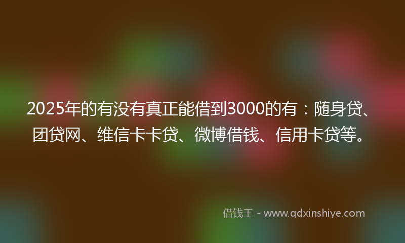 2025年的有没有真正能借到3000的有：随身贷、团贷网、维信卡卡贷、微博借钱、信用卡贷等。