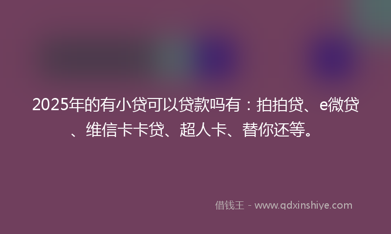2025年的有小贷可以贷款吗有：拍拍贷、e微贷、维信卡卡贷、超人卡、替你还等。