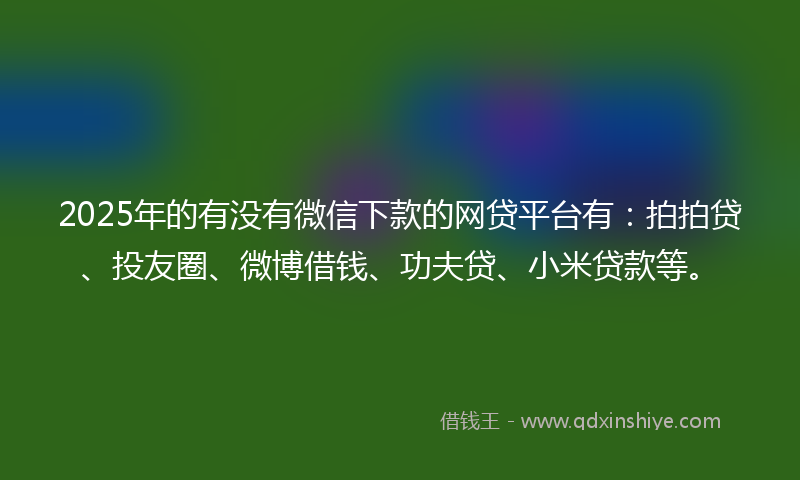 2025年的有没有微信下款的网贷平台有：拍拍贷、投友圈、微博借钱、功夫贷、小米贷款等。