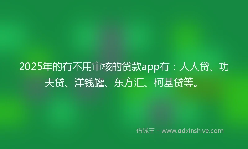 2025年的有不用审核的贷款app有：人人贷、功夫贷、洋钱罐、东方汇、柯基贷等。