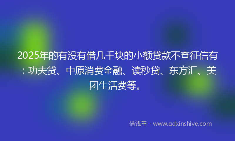 2025年的有没有借几千块的小额贷款不查征信有：功夫贷、中原消费金融、读秒贷、东方汇、美团生活费等。