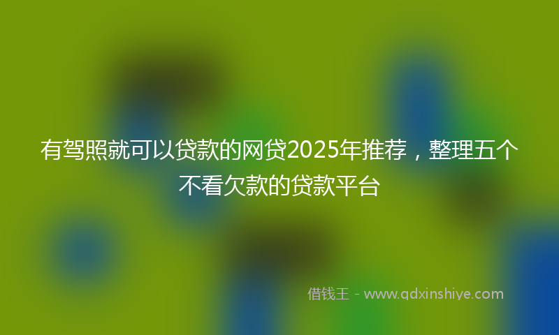 有驾照就可以贷款的网贷2025年推荐，整理五个不看欠款的贷款平台