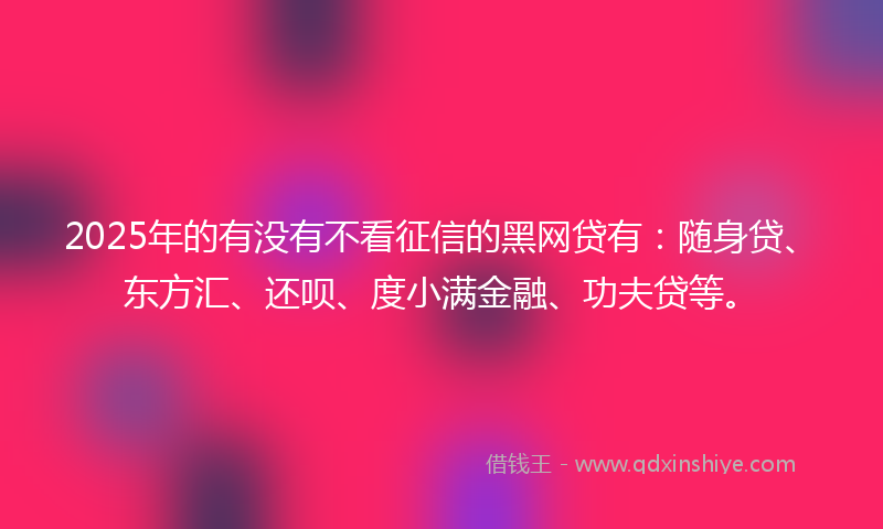 2025年的有没有不看征信的黑网贷有：随身贷、东方汇、还呗、度小满金融、功夫贷等。