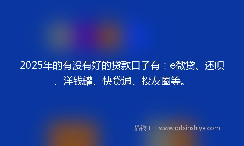 2025年的有没有好的贷款口子有：e微贷、还呗、洋钱罐、快贷通、投友圈等。