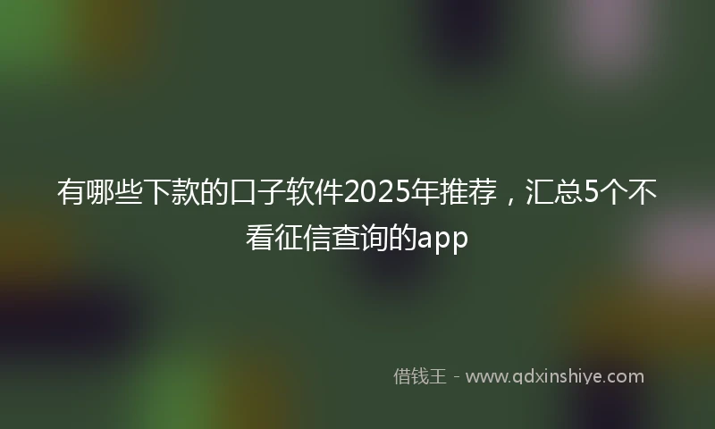 有哪些下款的口子软件2025年推荐，汇总5个不看征信查询的app