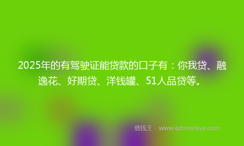 2025年的有驾驶证能贷款的口子有：你我贷、融逸花、好期贷、洋钱罐、51人品贷等。