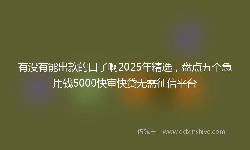 有没有能出款的口子啊2025年精选，盘点五个急用钱5000快审快贷无需征信平台
