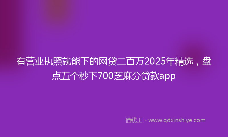 有营业执照就能下的网贷二百万2025年精选，盘点五个秒下700芝麻分贷款app