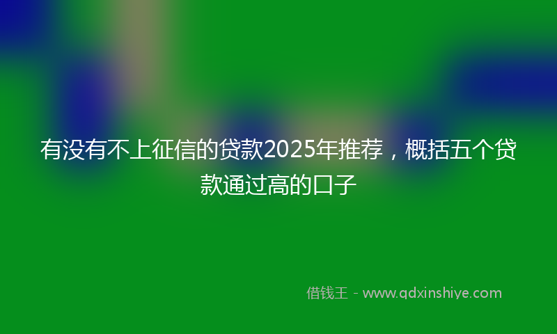 有没有不上征信的贷款2025年推荐，概括五个贷款通过高的口子