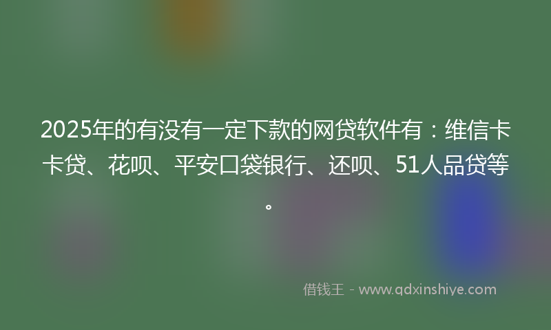 2025年的有没有一定下款的网贷软件有：维信卡卡贷、花呗、平安口袋银行、还呗、51人品贷等。