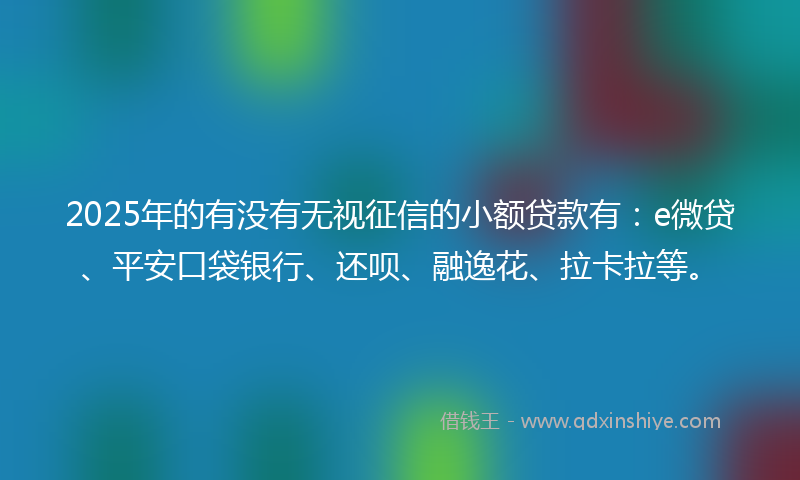 2025年的有没有无视征信的小额贷款有：e微贷、平安口袋银行、还呗、融逸花、拉卡拉等。