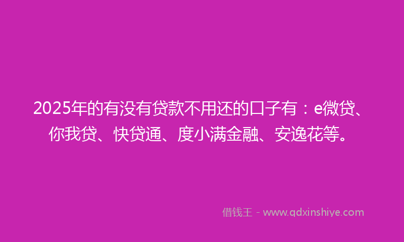 2025年的有没有贷款不用还的口子有：e微贷、你我贷、快贷通、度小满金融、安逸花等。