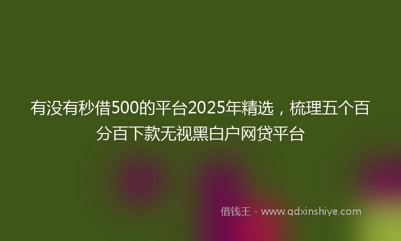 有没有秒借500的平台2025年精选，梳理五个百分百下款无视黑白户网贷平台