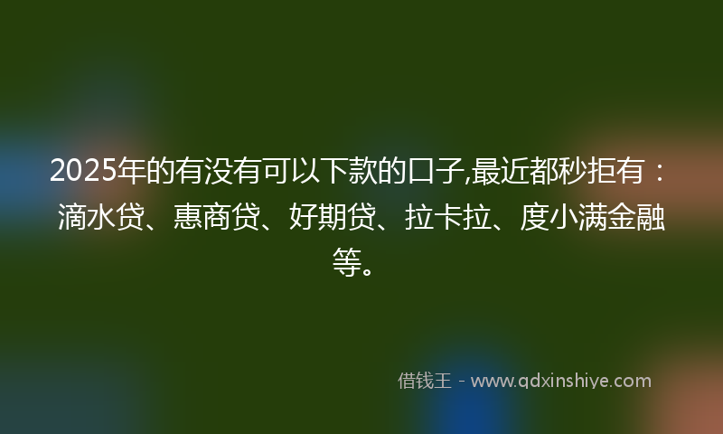 2025年的有没有可以下款的口子,最近都秒拒有：滴水贷、惠商贷、好期贷、拉卡拉、度小满金融等。