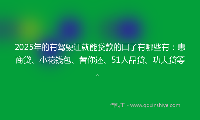2025年的有驾驶证就能贷款的口子有哪些有：惠商贷、小花钱包、替你还、51人品贷、功夫贷等。