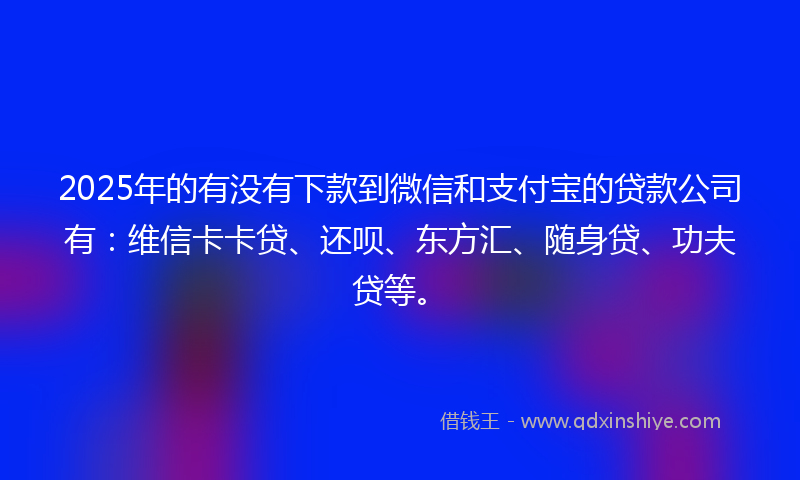 2025年的有没有下款到微信和支付宝的贷款公司有：维信卡卡贷、还呗、东方汇、随身贷、功夫贷等。