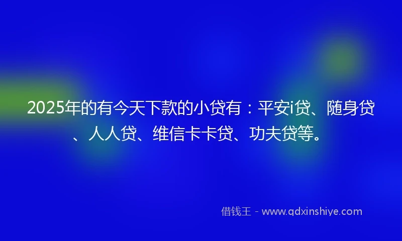 2025年的有今天下款的小贷有：平安i贷、随身贷、人人贷、维信卡卡贷、功夫贷等。