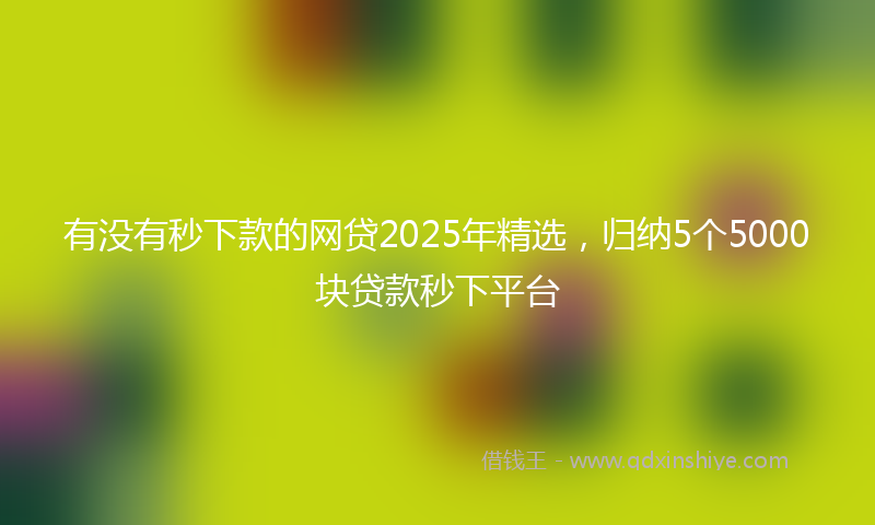 有没有秒下款的网贷2025年精选，归纳5个5000块贷款秒下平台